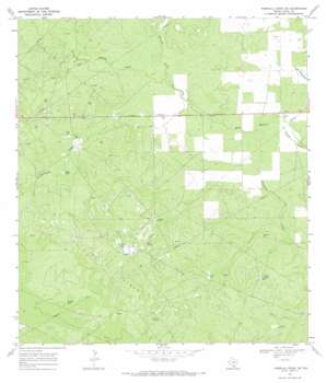 Parrilla Creek SE USGS topographic map 27098e5