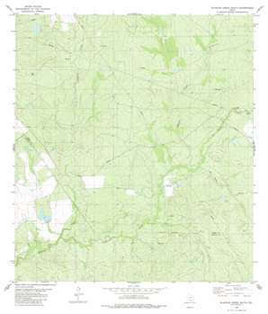 Blancas Creek South USGS topographic map 27099c3