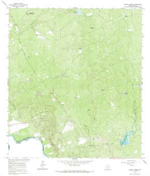 Cuervo%20Creek USGS topographic map 27099f5