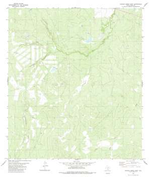 Venado%20Creek%20East USGS topographic map 27099h2