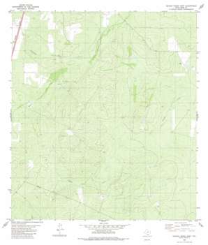 Venado Creek West USGS topographic map 27099h3
