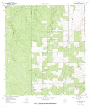 Live Oak Hollow USGS topographic map 28098c3