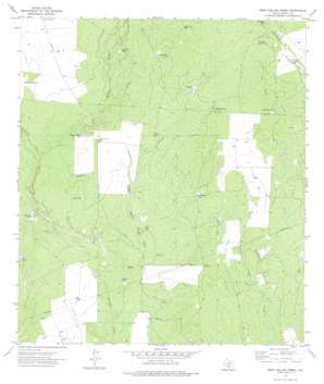 Beef Hollow Creek USGS topographic map 28099g8