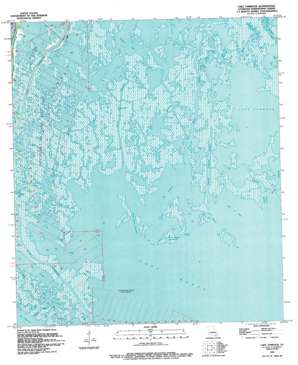 Lake Tambour USGS topographic map 29090c5