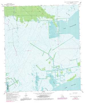 Lake%20Cataouatche%20West USGS topographic map 29090g3