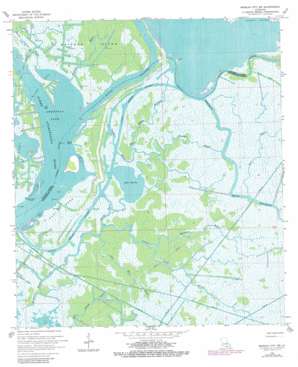 Morgan City SW USGS topographic map 29091e2