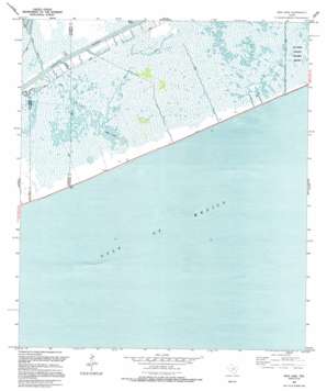 Mud Lake USGS topographic map 29094e3