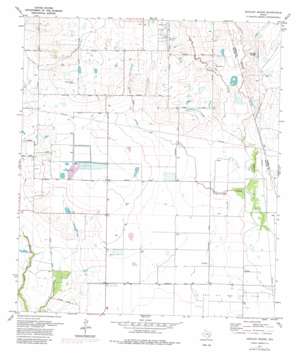 Hockley%20Mound USGS topographic map 29095h8