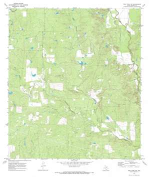 Frio Town NE USGS topographic map 29099b3