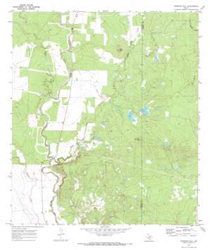 Irishman Hill USGS topographic map 29099b4