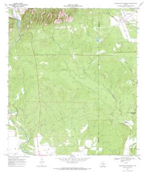 Sabinal NE USGS topographic map 29099d4