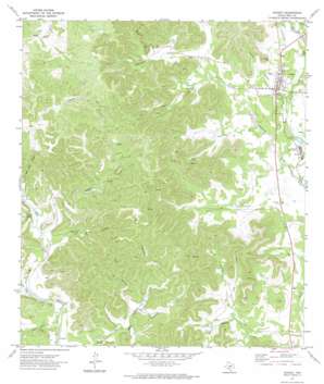 Leakey USGS topographic map 29099f7