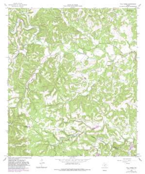 Fall Creek USGS topographic map 29099h2
