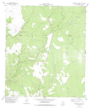 Tequesquite Spring USGS topographic map 29100a5