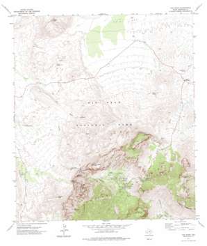 The Basin topo map