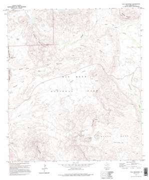 Tule Mountain topo map