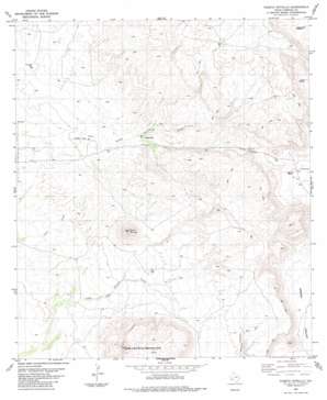 Puerto Potrillo USGS topographic map 29103g8