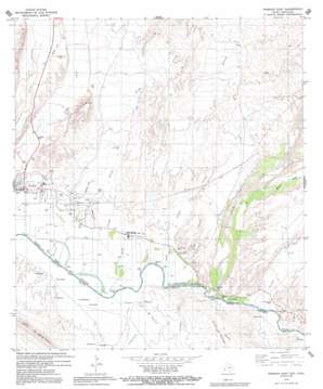 Presidio East USGS topographic map 29104e3