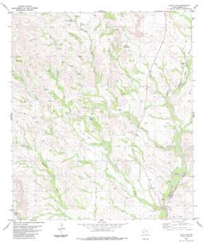 Plata Ne USGS topographic map 29104h1
