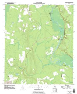 Burnt Fort USGS topographic map 30081h8