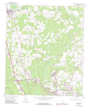 Hahira East USGS topographic map 30083h3