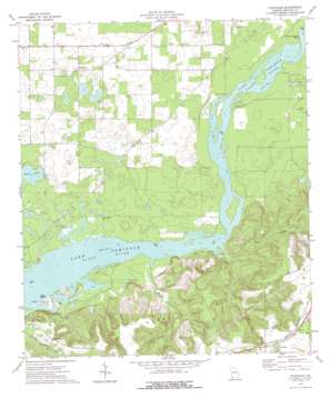 Faceville USGS topographic map 30084g6