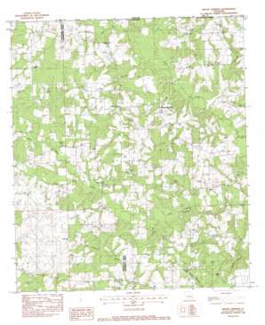 Sunny Hill USGS topographic map 30090h3