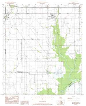 Lacassine USGS topographic map 30092b8
