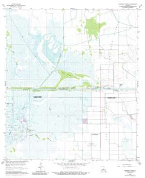 Cameron Farms USGS topographic map 30093a5