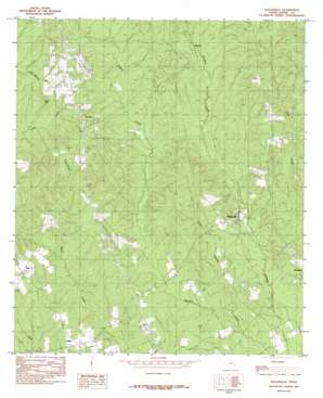 Roganville USGS topographic map 30093g8