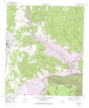 Trinity East USGS topographic map 30095h3
