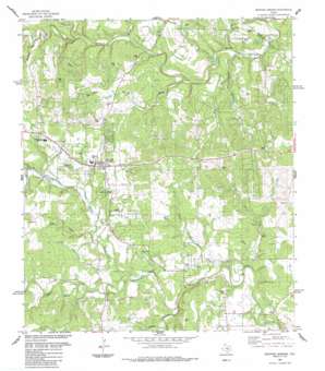 Dripping Springs topo map