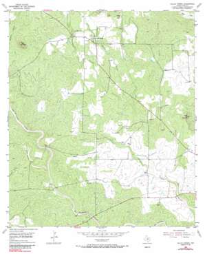 Valley Spring USGS topographic map 30098g7