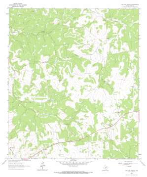 Live Oak Ranch USGS topographic map 30099b5