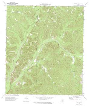 Four Mills USGS topographic map 30100a6