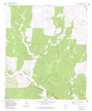 Buffalo Well SE USGS topographic map 30100e3