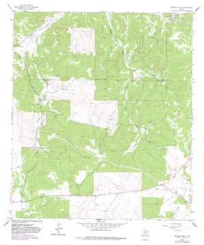 Buffalo Well USGS topographic map 30100f3