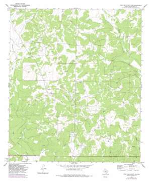 Fort Mckavett Nw USGS topographic map 30100h2