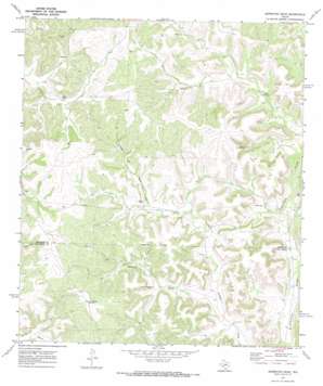 Aermotor Draw USGS topographic map 30101c3