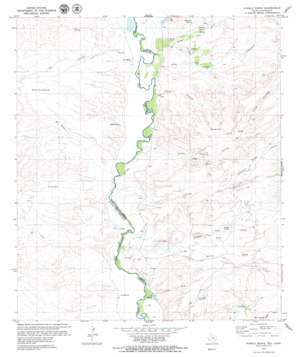 Pueblo Nuevo USGS topographic map 30104a6