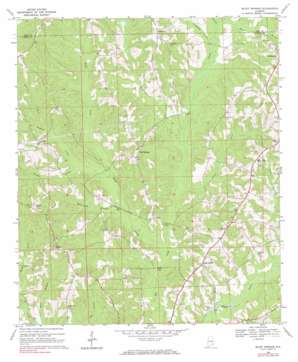 Bluff Springs topo map