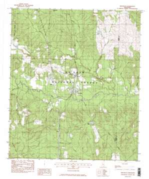 Brooklyn USGS topographic map 31089a2