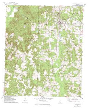 Bay Springs USGS topographic map 31089h3