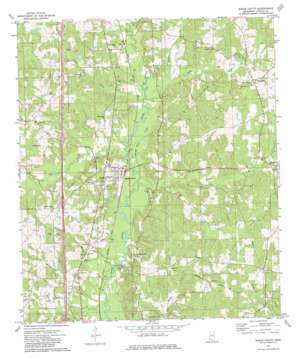 Bogue Chitto USGS topographic map 31090d4