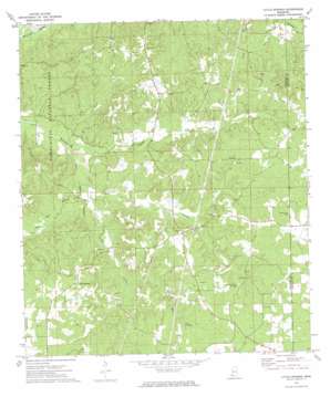 Little Springs USGS topographic map 31090d6