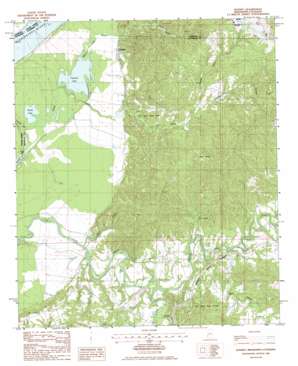 Rodney USGS topographic map 31091g2