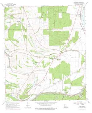 Lake Bruin USGS topographic map 31091h3