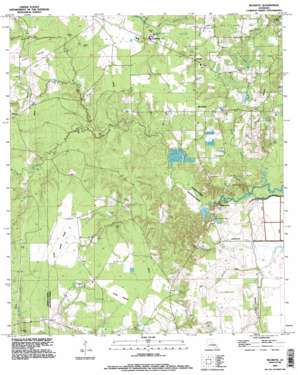 Buckeye USGS topographic map 31092c2