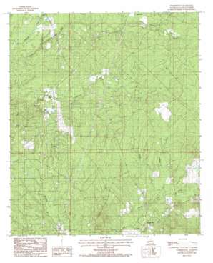 Summerville USGS topographic map 31092g2