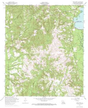 Burr Ferry USGS topographic map 31093a4